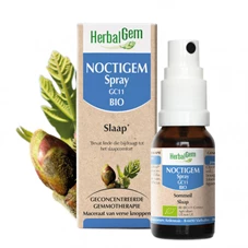 noctigem-spray (1).jpg