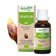 zwarte-bes.jpg