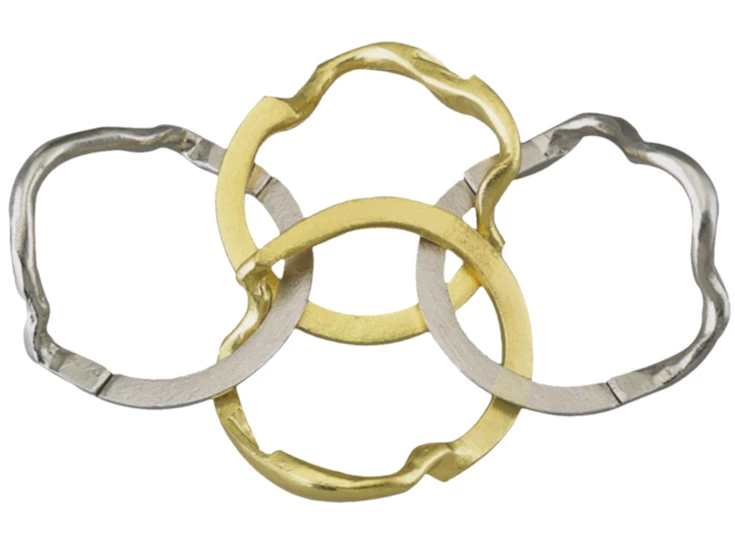 515051_Ring_disassembled.png