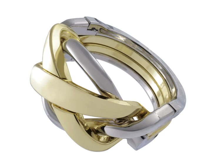 515051_Ring_front.png