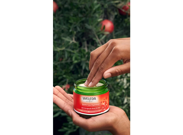 weledahippo_productlarge (2).png