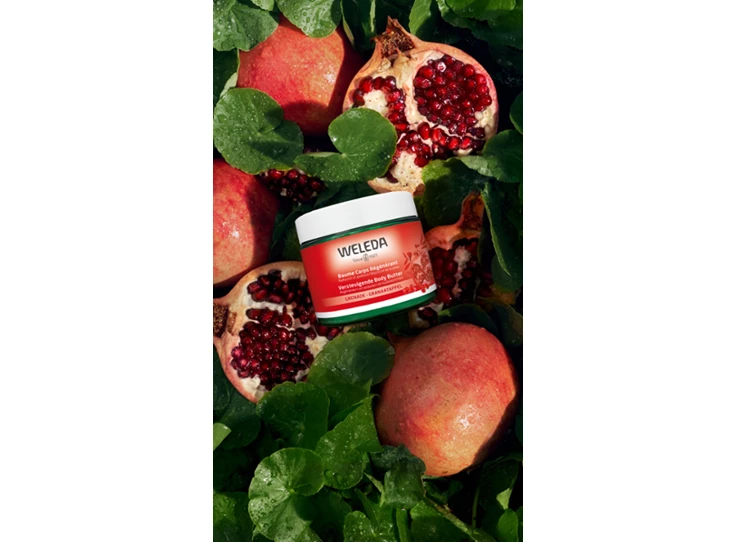 weledahippo_productlarge (3).png