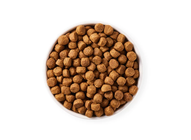 1648470306-17050-DOG - Yarrah Adult chicken - Top shot_1920x1920.png