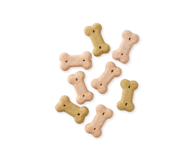 1648470306-7174S-DOG - Yarrah Vega Biscuits small - Top shot_1920x1920.png