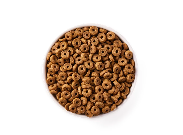 1648470306-17000-CAT - Yarrah Adult fish - Top shot_1920x1920.png