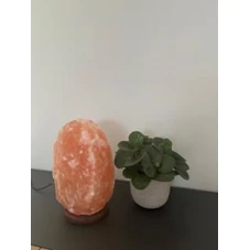 Himalaya-lamp-8-10-kg-2-thumb.jpg