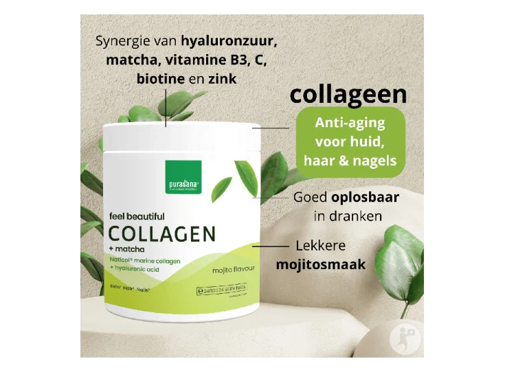 purasana-feel-beautiful-matcha-collageen-240g.i1.v1.jpg