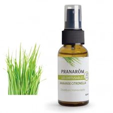 javaanse-citronella.jpg