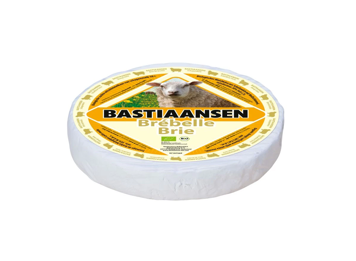 pash_524330.jpg