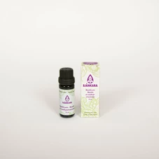 1016_basilicum_ct_methylchavicole.jpg