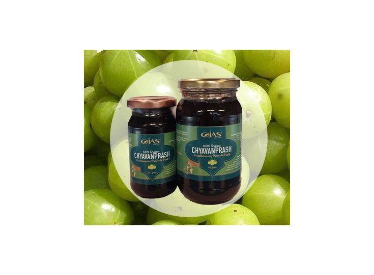 chyavanprasch nw 2022 met vrucht (003).jpg